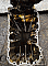 : Screenshot_39