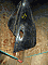  , ,  , ,  ,.: 000048367__MAZDA_EUNOS_F_3